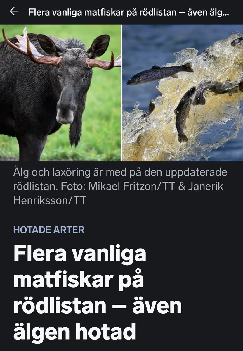 Rickard Axdorff 🪕🤘 tweet media