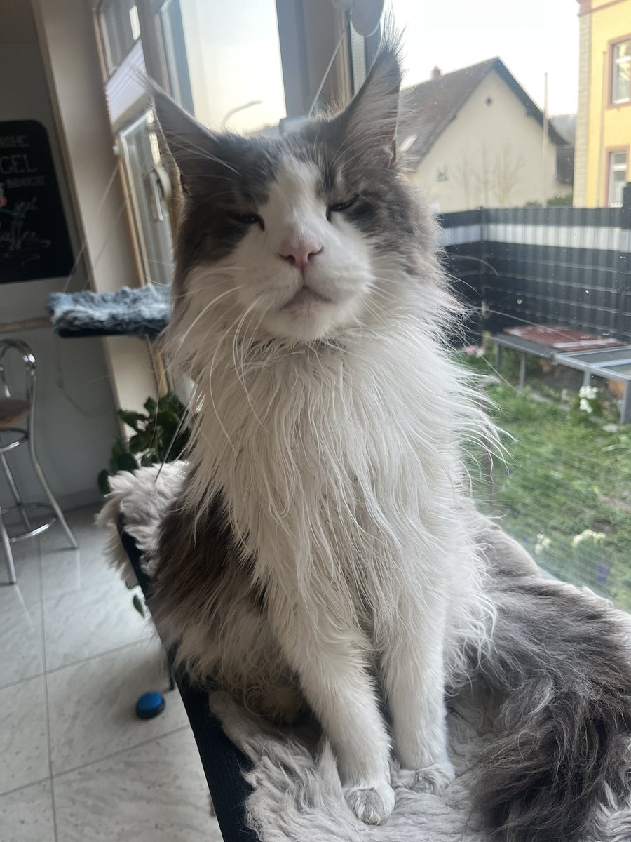 CodingJay tweet media