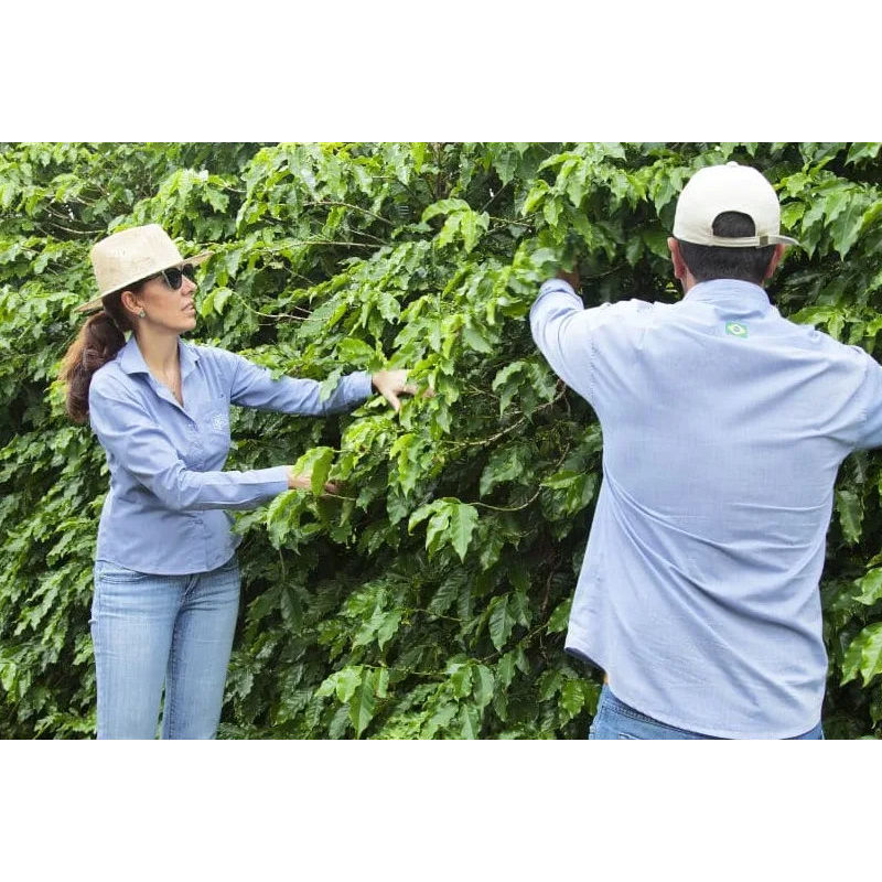 Cape Coffee Beans tweet media