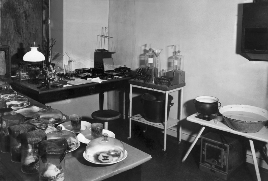 Roger-Viollet tweet media