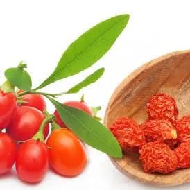 عبيد العوني tweet media