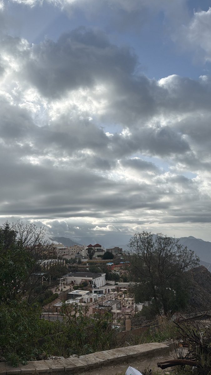 خلــــــــــــود 🕊💙💛 tweet media