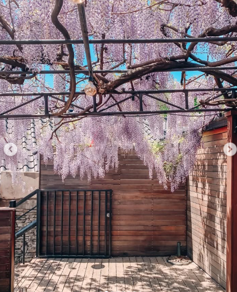 도토리 tweet media