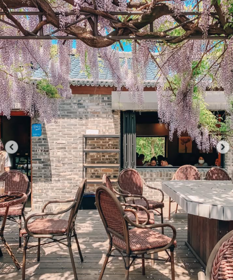 도토리 tweet media