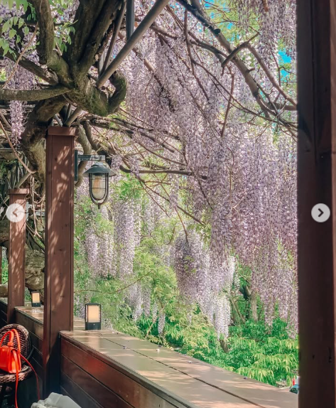 도토리 tweet media