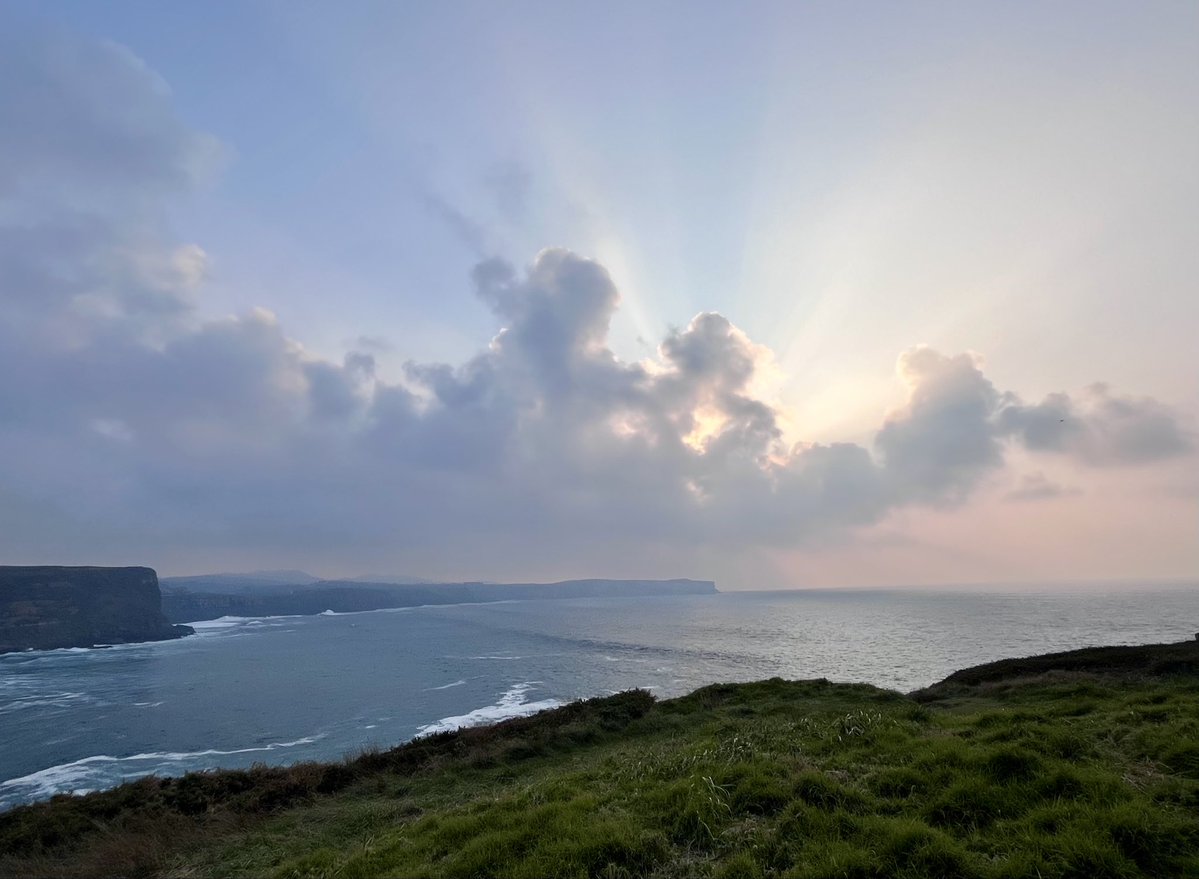 Licenciado Rovere tweet media