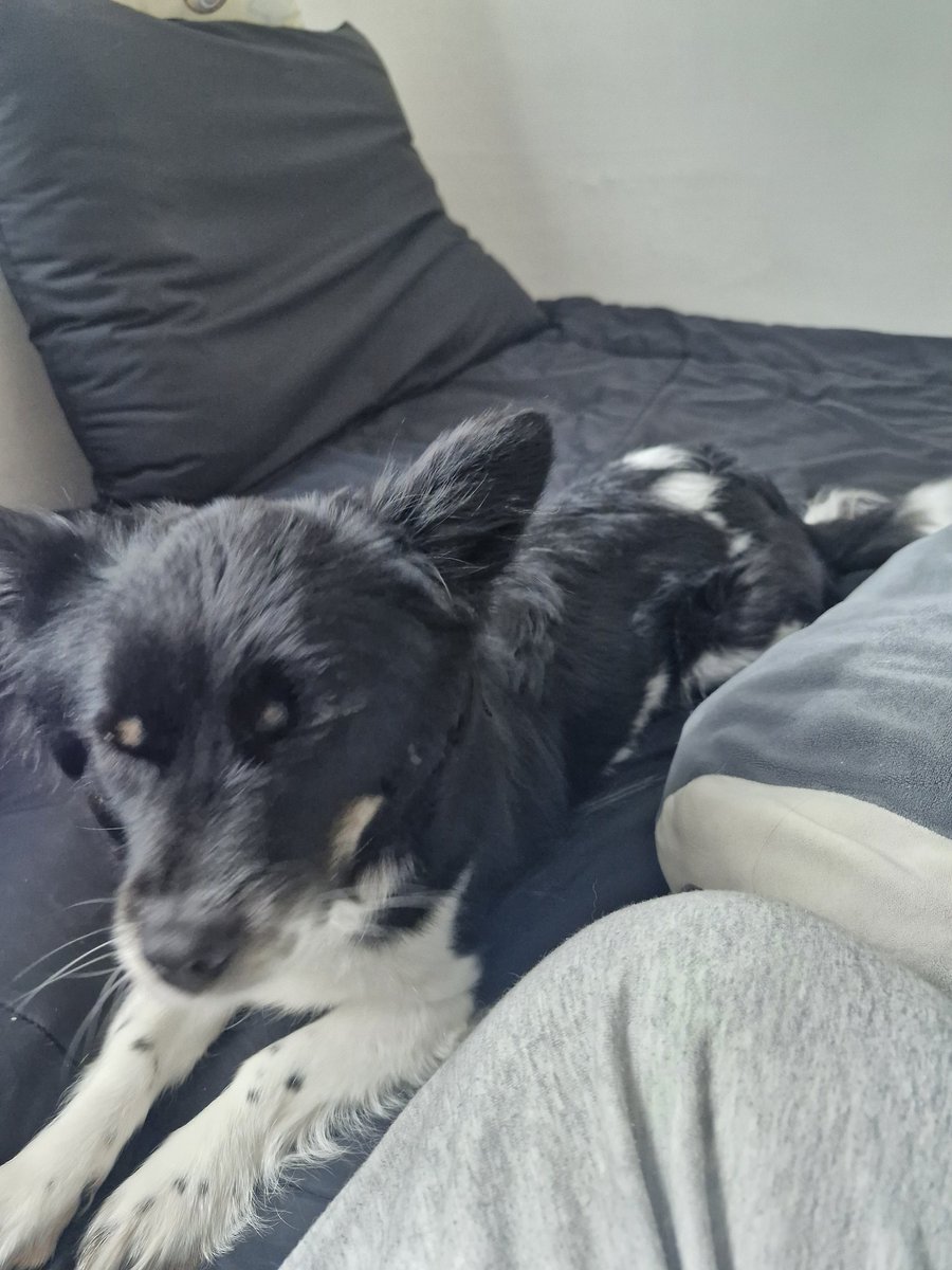 心臓🫀(하트) tweet media