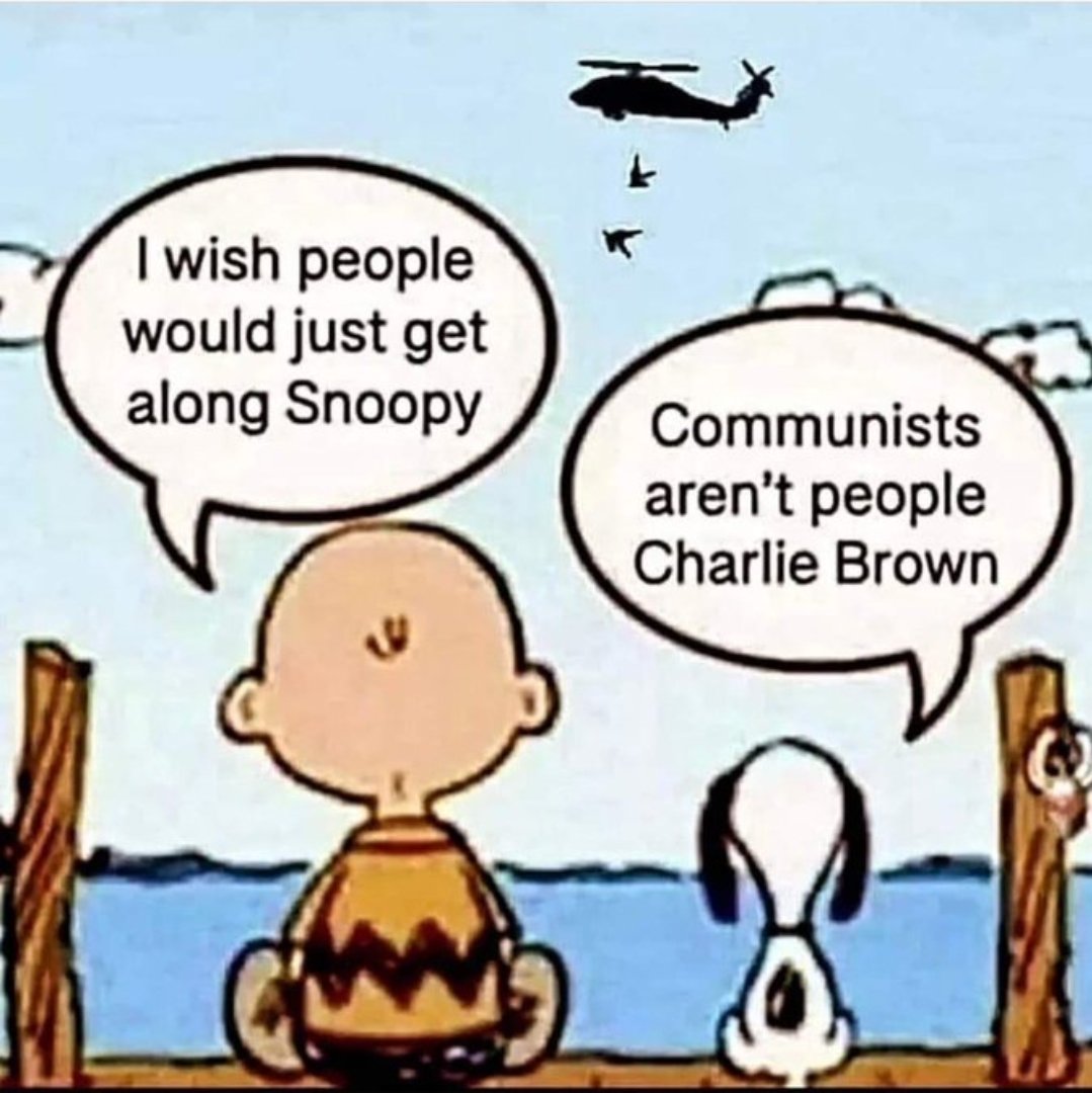 Liam Stewart tweet media