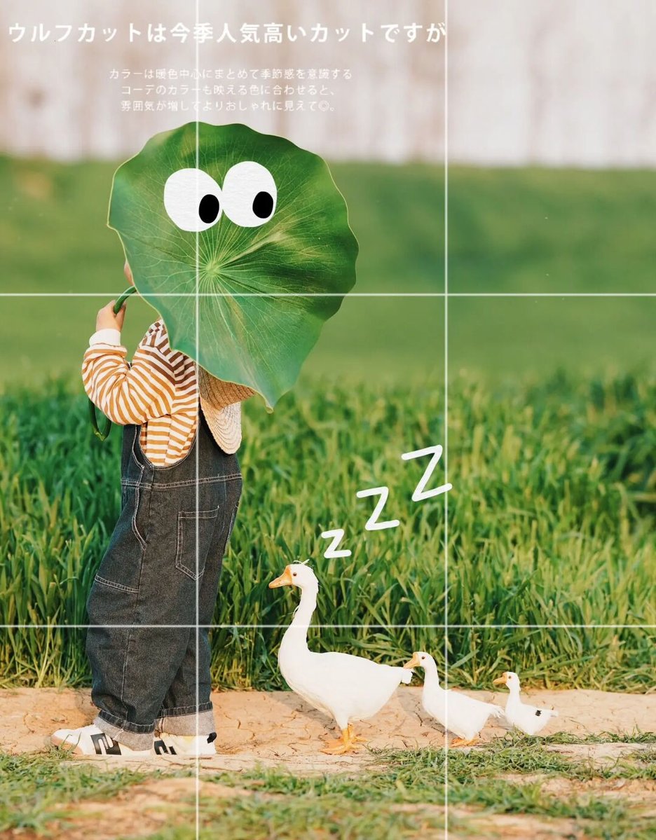 유 벌 eubhe tweet media