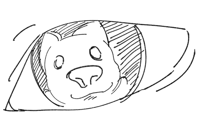 김이돌 tweet media