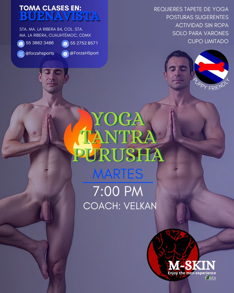 Forza High Sports & nude Wellness tweet media