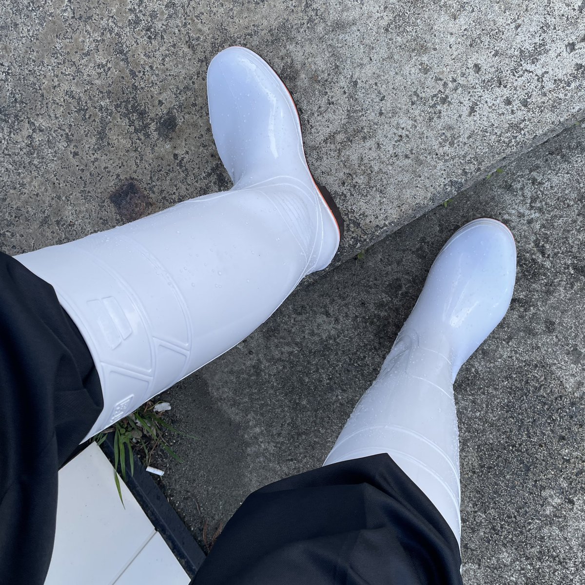 たすく tweet media