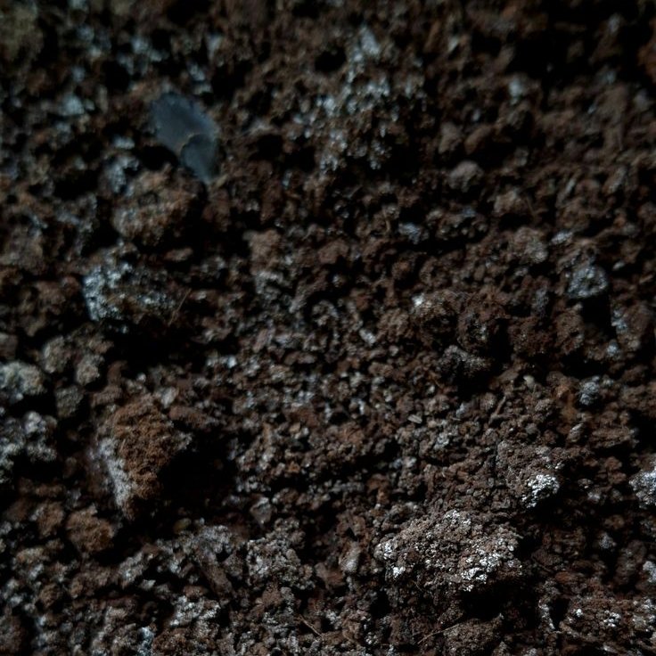 Tithi Magendra tweet media