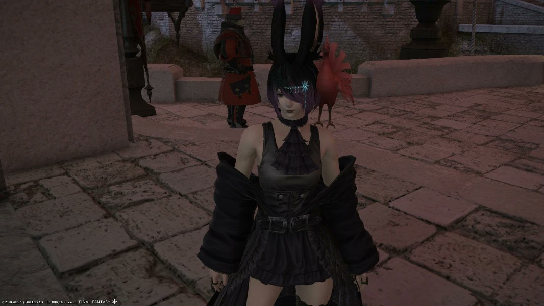 Misanthropic Coyote tweet media