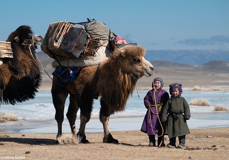 Баяраа tweet media