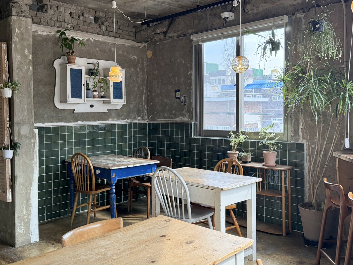 앙고라 tweet media