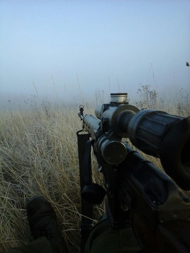 Doc Strangelove tweet media