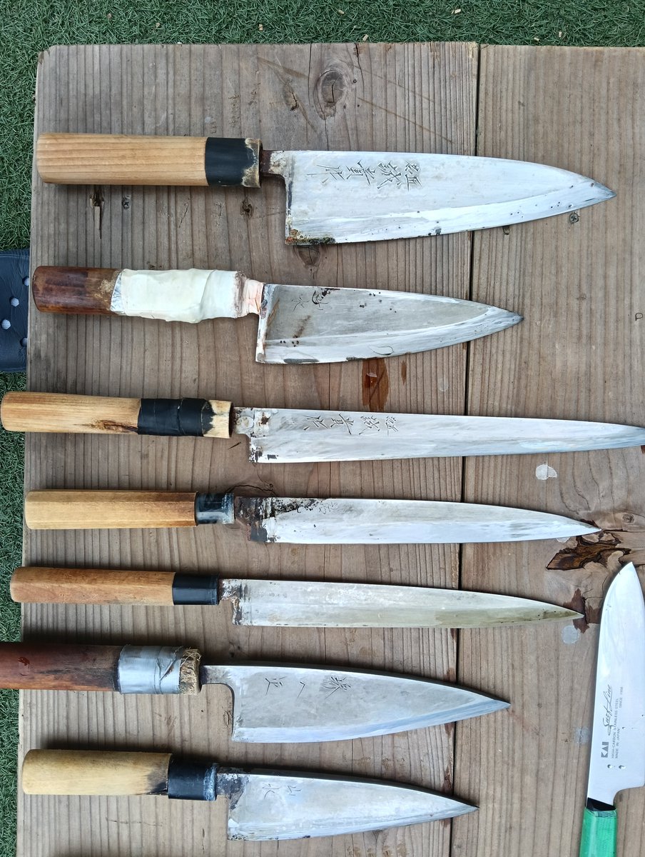 正日出 tweet media