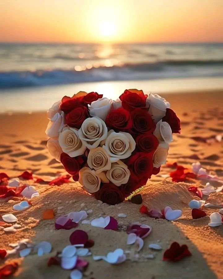 ρɹɹɹIɹ̣ tweet media