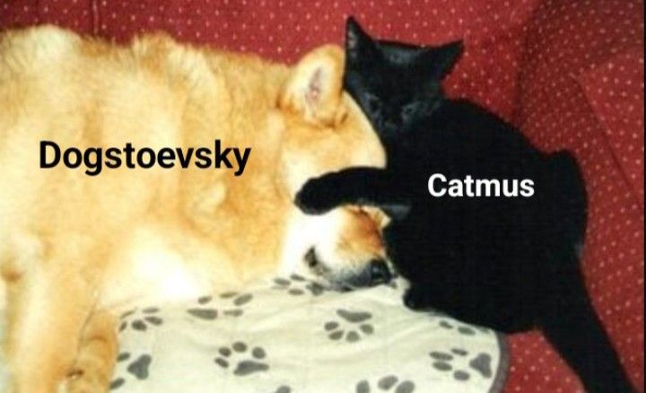 Fyodor Dostoevsky Collection 🪓 tweet media