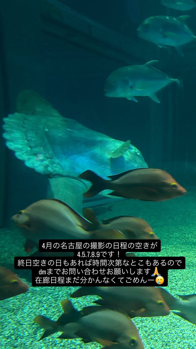 みじんこ🦭(じゅり) tweet media