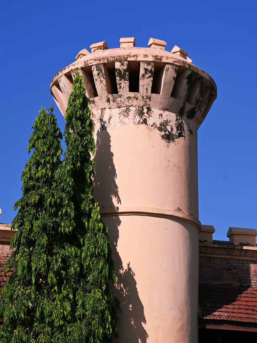 THE NETAJIAN tweet media