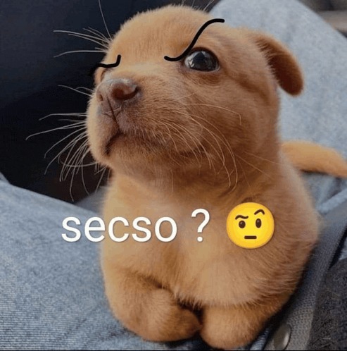 ♥︎𝑱𝒆𝒓𝒊♥︎ || ★𝑽𝒕𝒖𝒃𝒆𝒓★ || 𝑽𝑵𝒆𝒙 || tweet media