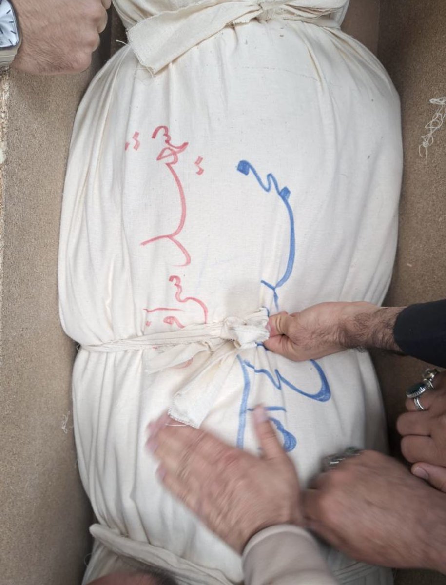 عِماد tweet media