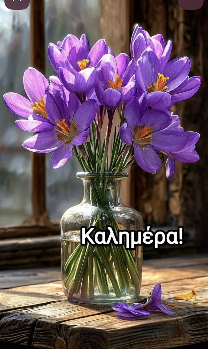 Λιτσα κουτ🫶 tweet media