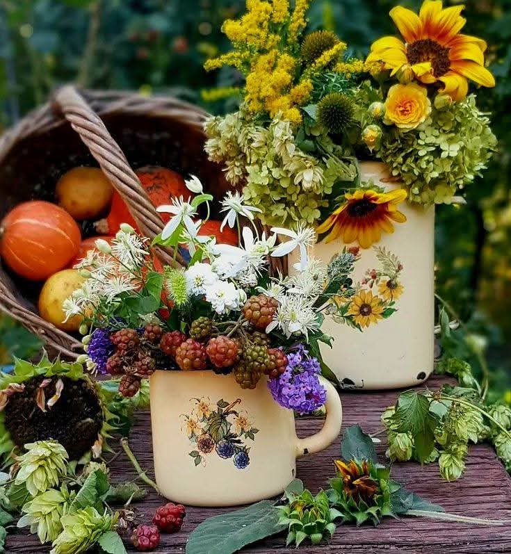 Electra ๑✿.๑¯`·❥🚫DM tweet media