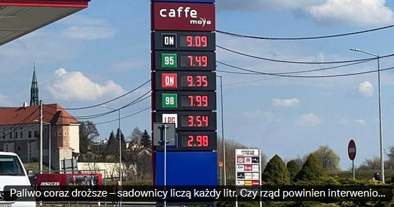 Olga Srokarczuk tweet media