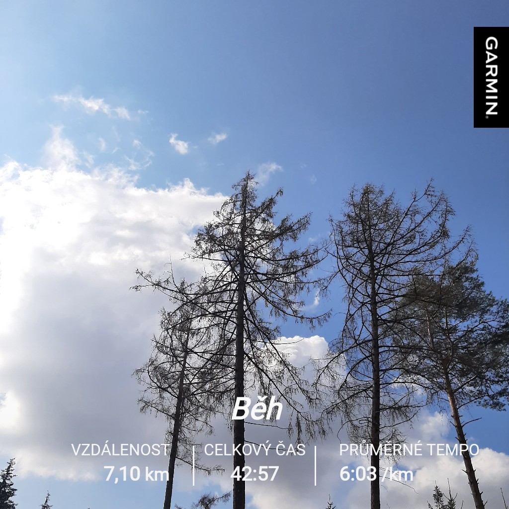 Věrča Mar tweet media