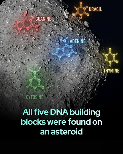 Tuure Tittelin tweet media