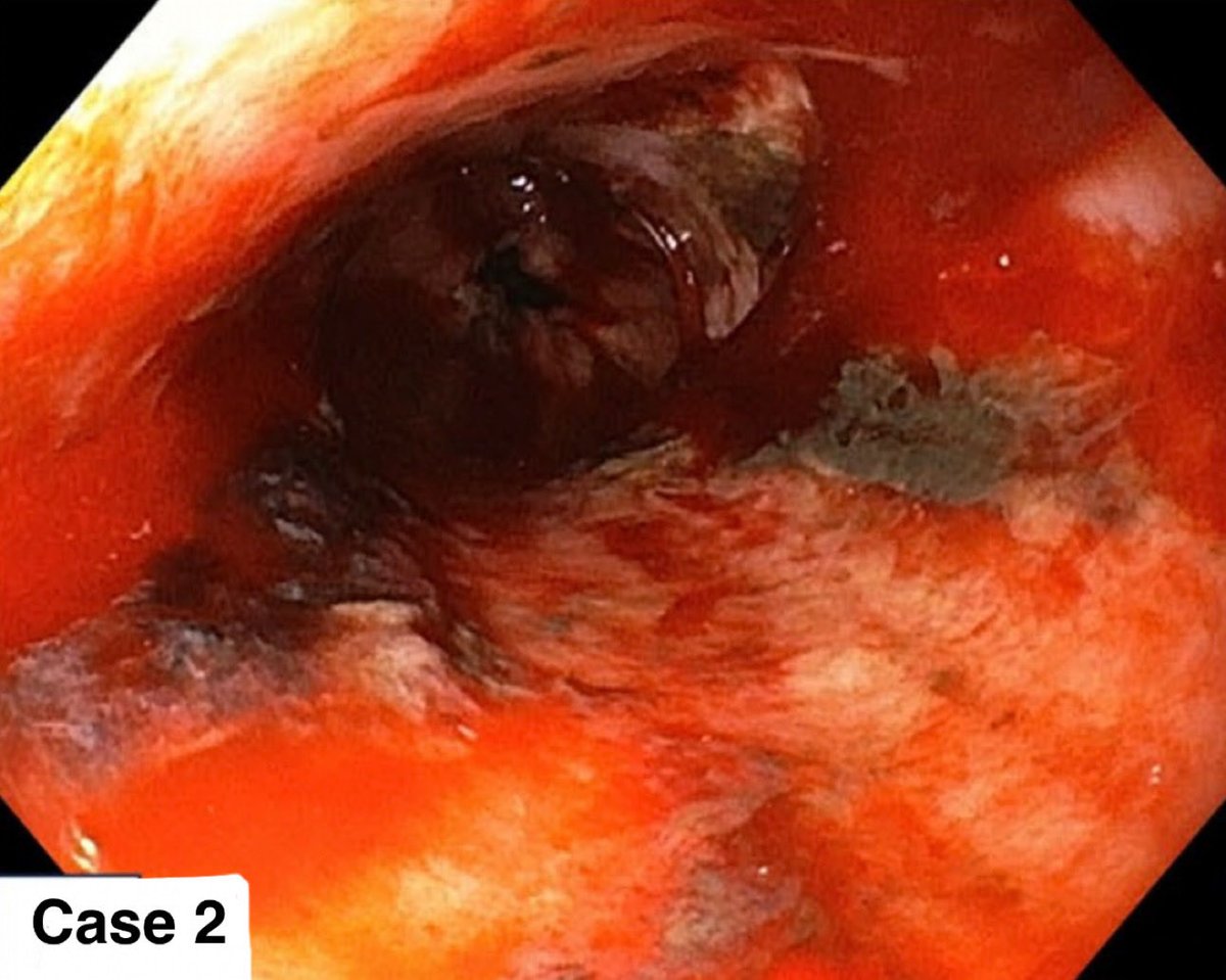 ARPIT SHASTRI tweet media