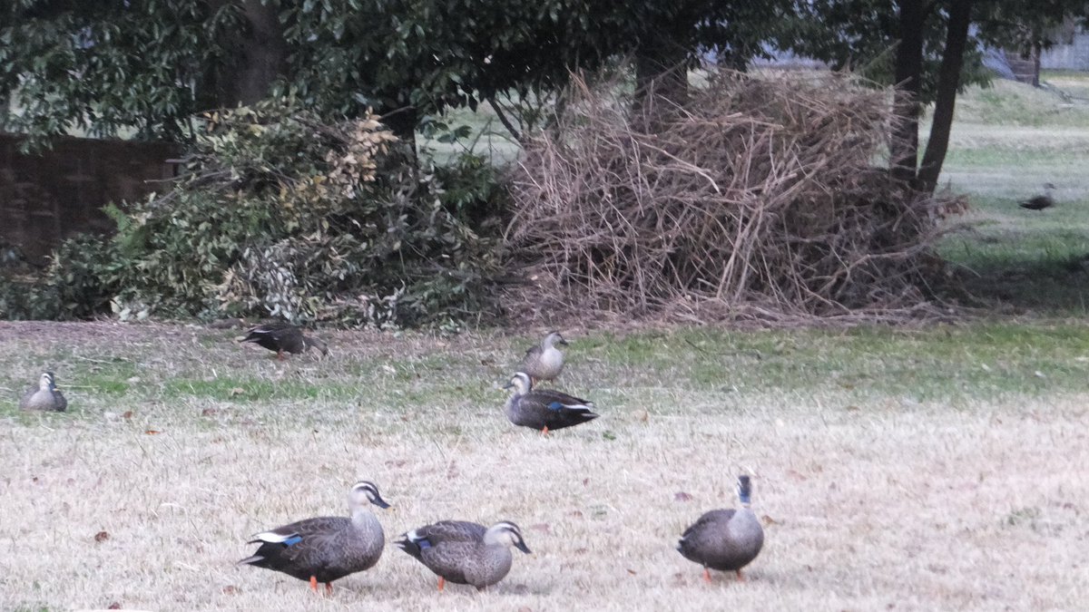 清浦⚠️ tweet media