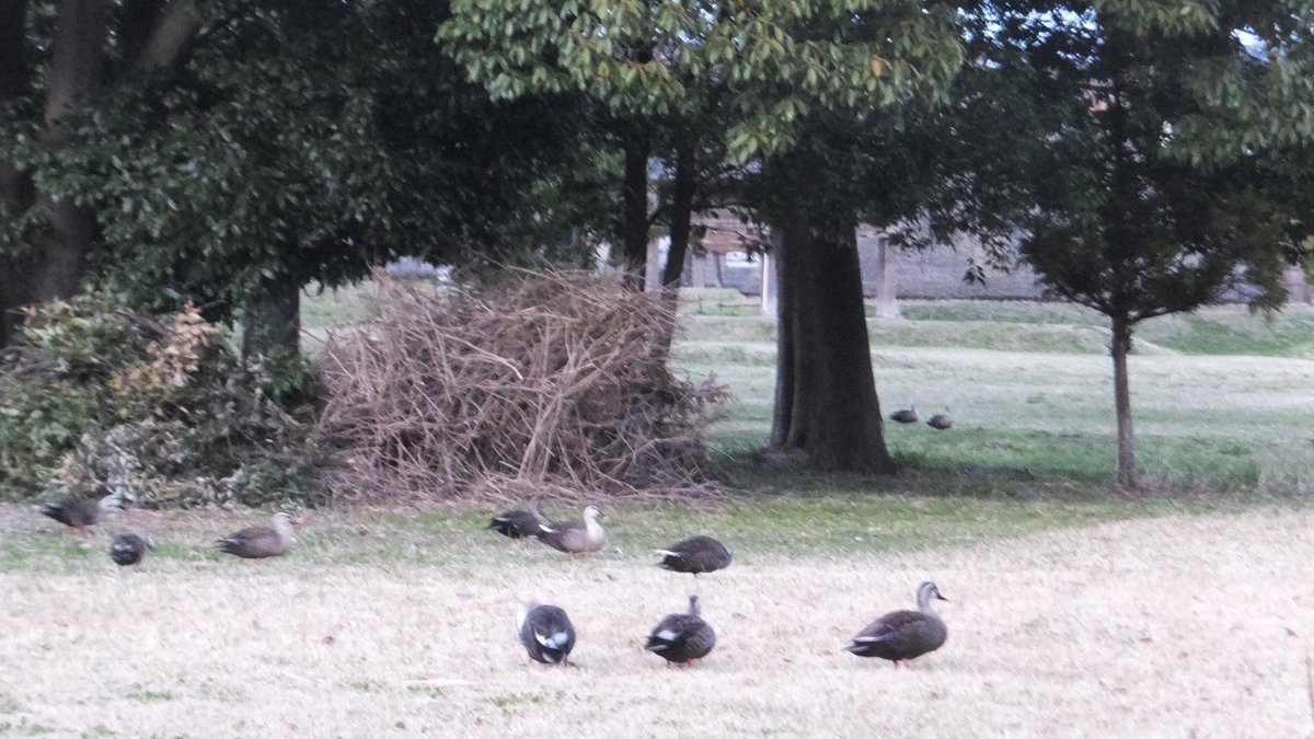 清浦⚠️ tweet media