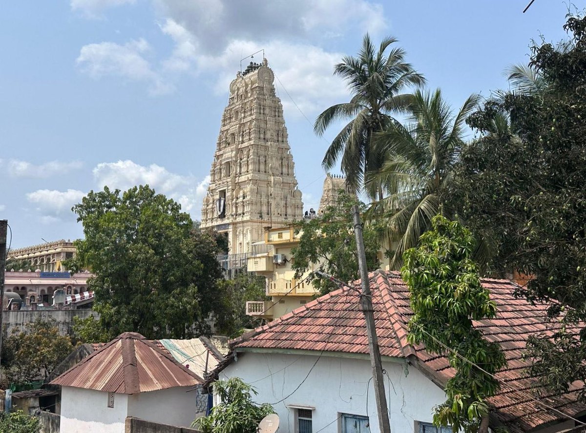 notKhannaa's tweet image. Imagine waking up to this view✨