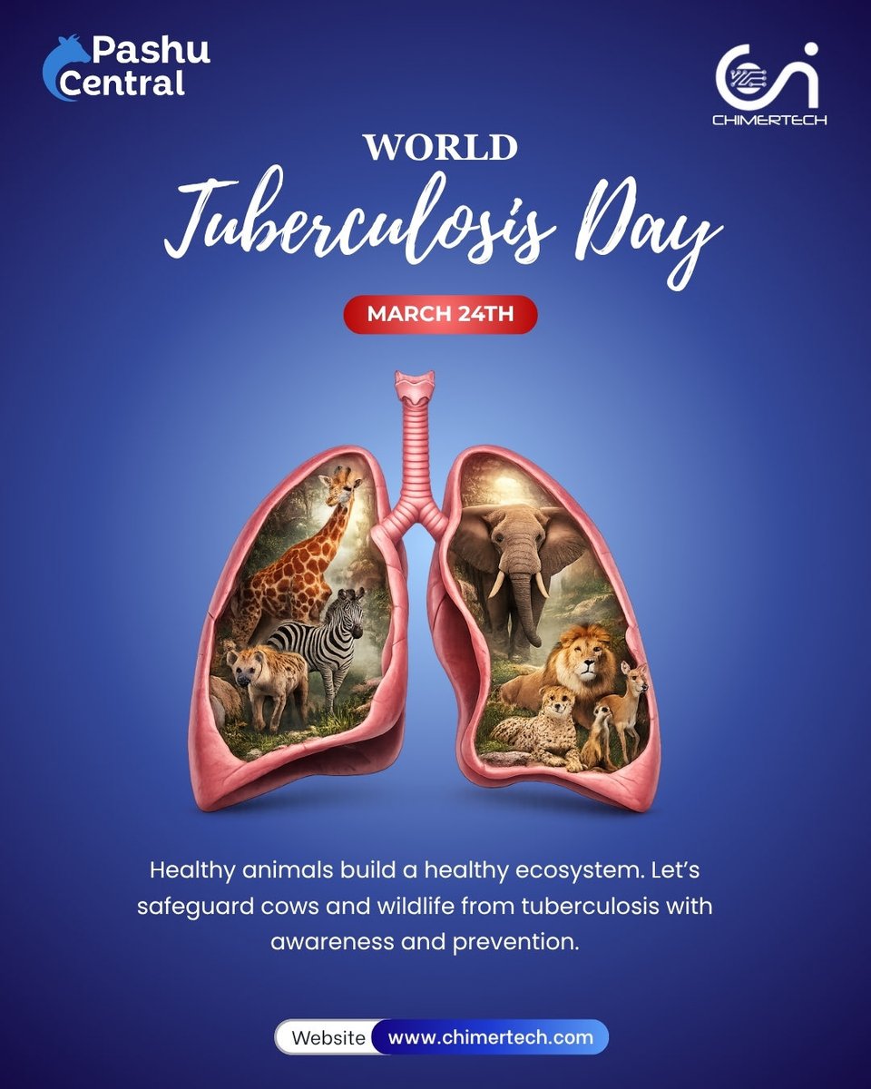 Chimertech Private Limited tweet media