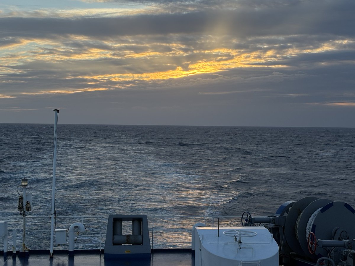 アメトイショップ⭐︎Hi-Gimmick tweet media