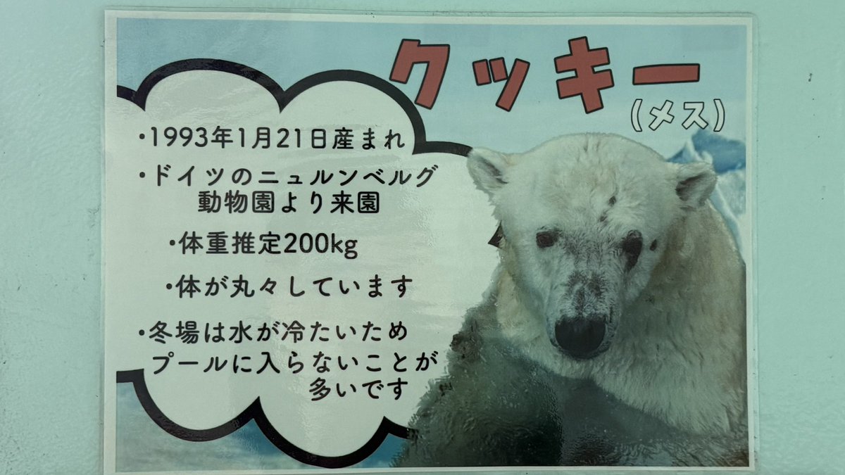 すみれ⁷ tweet media