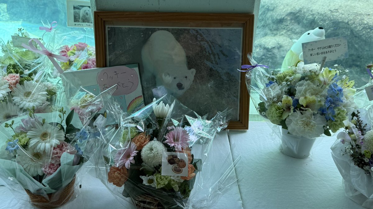 すみれ⁷ tweet media