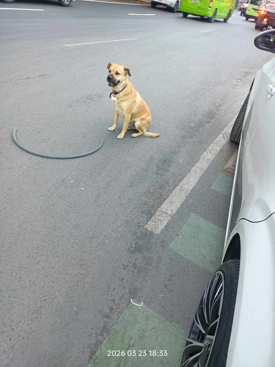 Tlalpan Vecinos tweet media