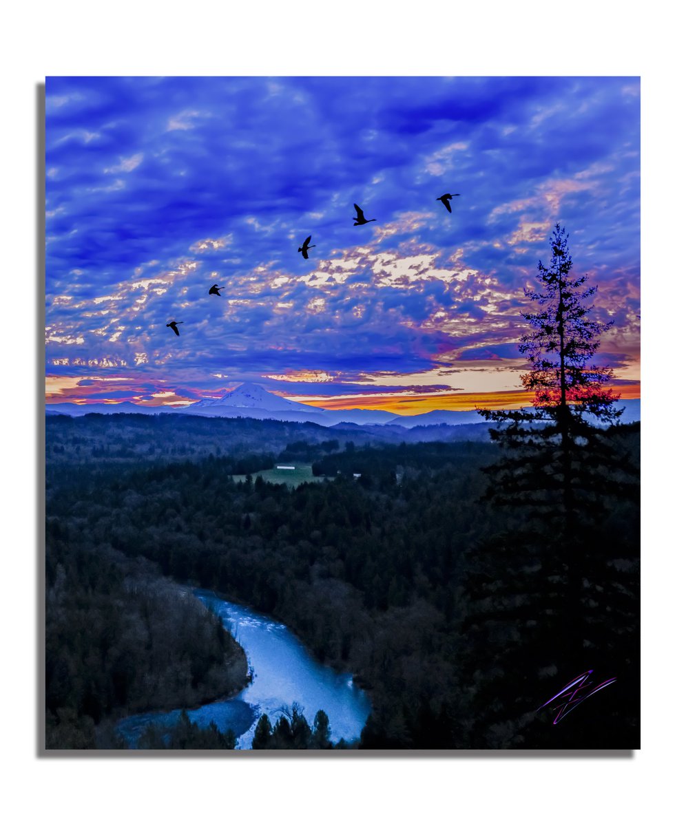 Intellectual Nebula Media tweet media