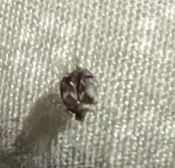 Jay Collins tweet media