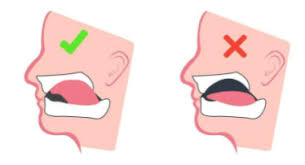 【公式】ル歯科 カンナム歯医者(le:dental clinic) tweet media