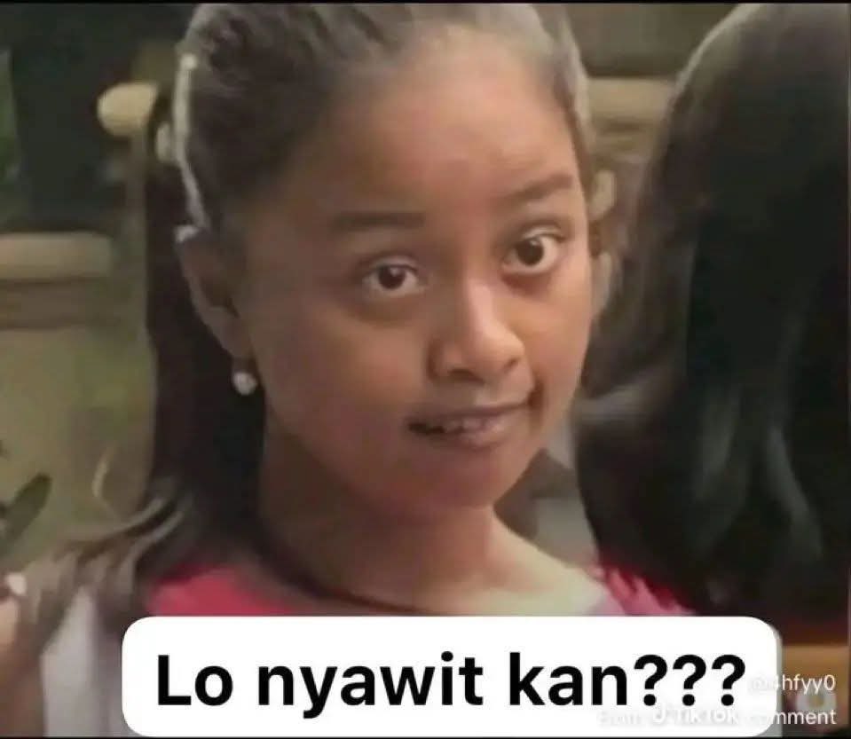 ToddMinaire tweet media