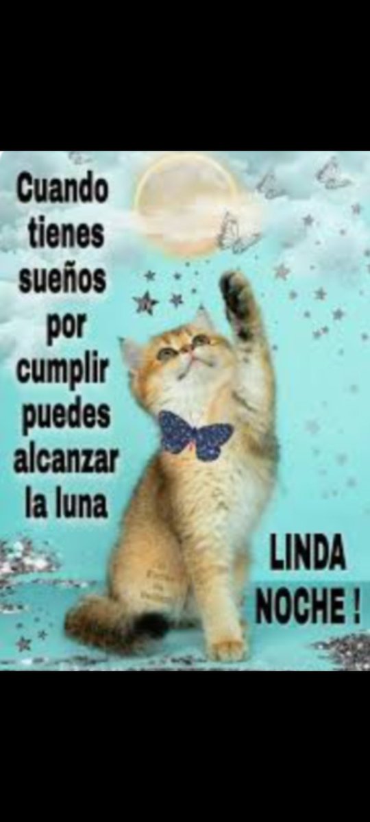 Héméra 🌹🌿 Republicana💛😺🇦🇷... tweet media