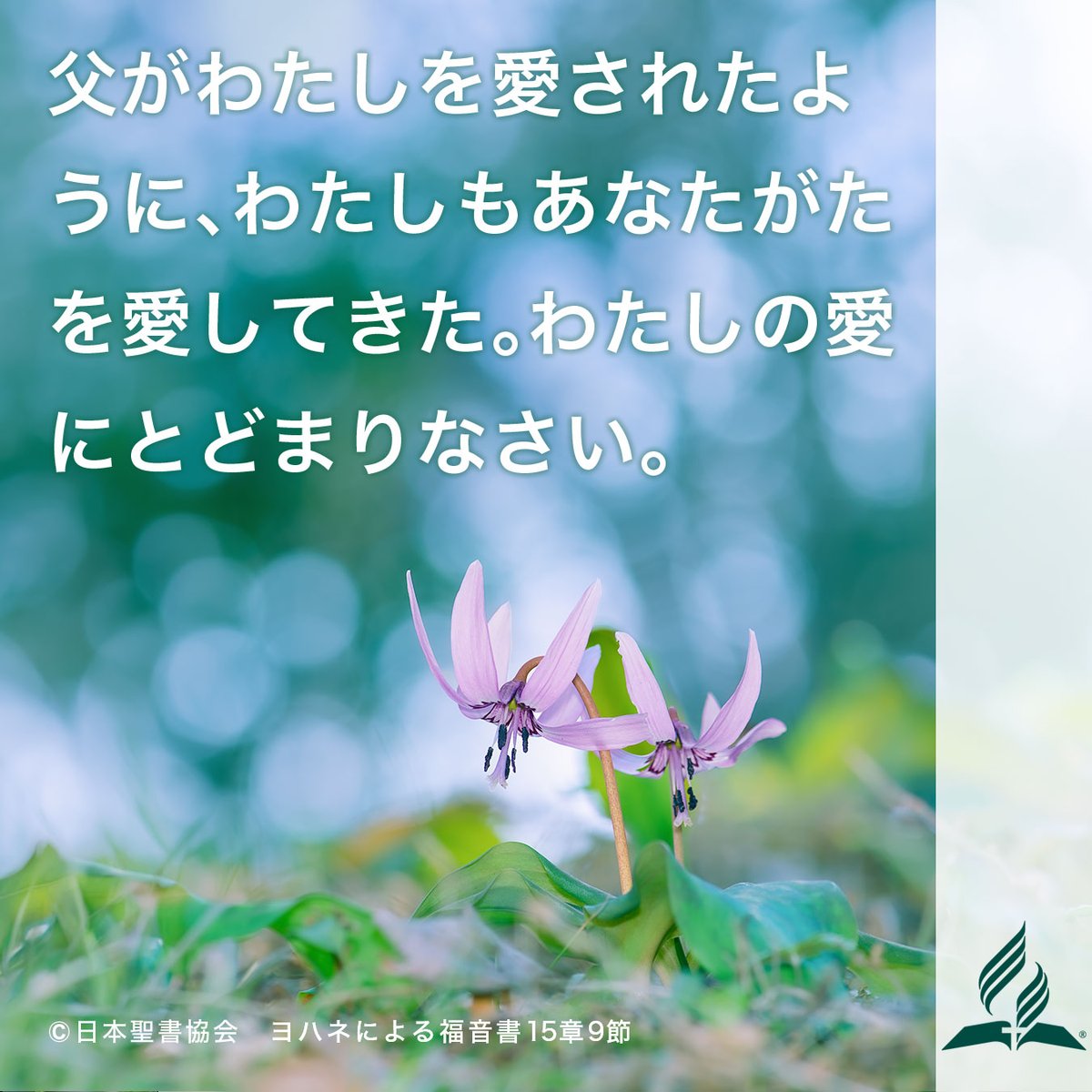 adventistjp's tweet photo. 祝福された安息日も終わり、新しい週が始まりました。
この暗唱聖句を心に留め、主と共に歩んでいきましょう。

#今週の暗唱聖句
#暗唱聖句
#聖書
#セブンスデーアドベンチスト教会 https://t.co/M4uo3zdc4c
