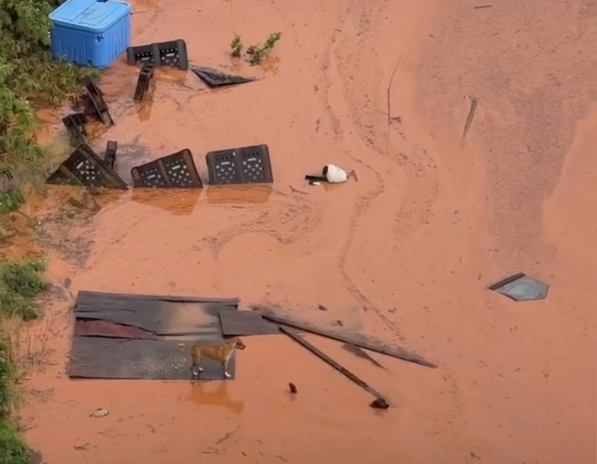 nai ᢉ𐭩 tweet media