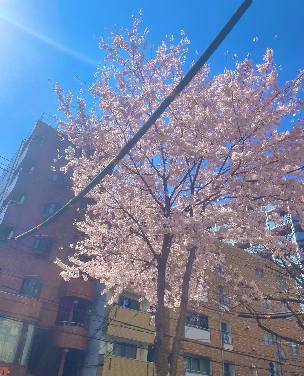 𝐓𝟎𝐒 tweet media